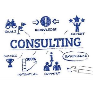 Business Startup Consultancy Service