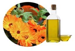 Calendula Oil