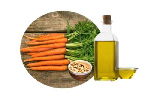 Carrot Seed Oil