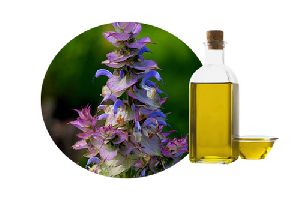 Clary Sage Oil