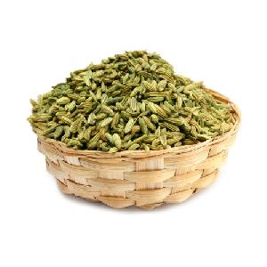 Big Fennel Seeds