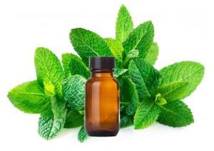 Spearmint Oil