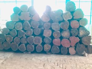 Teak Wood Logs