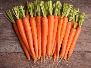 Fresh Carrots