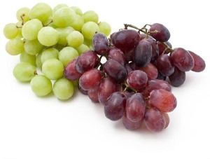 Fresh Grapes