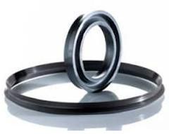 Elastomer Seals