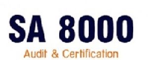 SA 8000 Consultants in Faridabad.