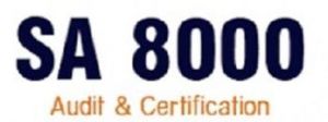 SA 8000 Consultants in Faridabad.