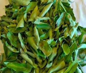 dry curry leaves