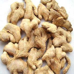Dried Ginger (Zingiber officinale)
