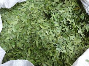 Dried Neem leaves (Azadirachta indica)