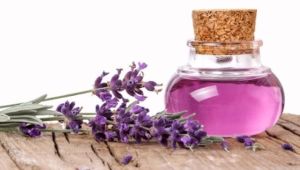 Lavender Oil