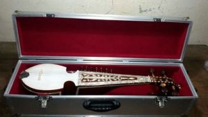 musical instrument cases