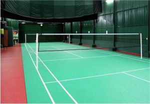 badminton poles