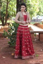 Party Wear Ghagra Choli