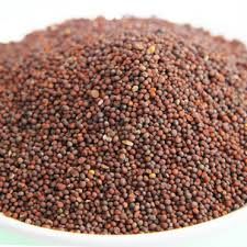 Mustard Seeds