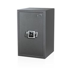 Biometric Electronic Safe