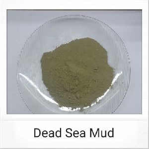 dead sea mud