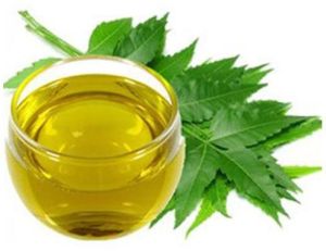 Neem Essential Oil