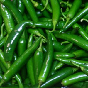 Fresh Green Chilli