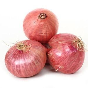 Fresh Onion