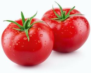 Fresh Tomato