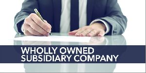 Formation Wholly Owned Subsidiary
