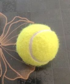 Cricket Tennis Ball