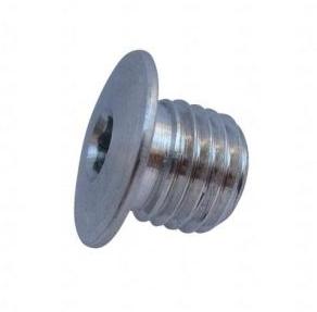 Oil Filler Plug