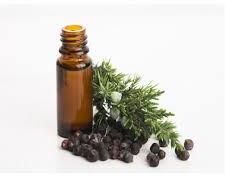 Juniper Berry Oil