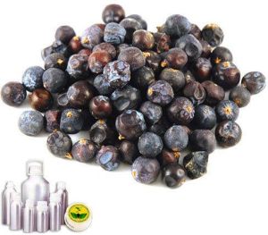 Juniper Berry Oil