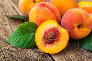 Fresh Apricots