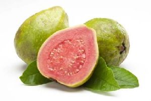 Fresh Guava