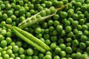 Fresh Peas