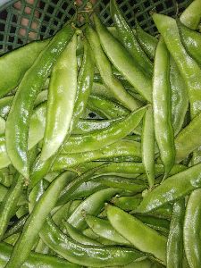 Fresh Cluster Beans