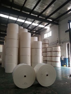 Paper Cup Raw Material