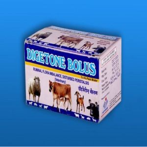 Digetone Bolus Strip