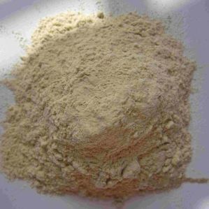 Dehydrated Potato Powder