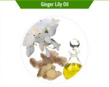 Ginger Lily Oil