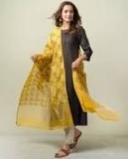 Handloom Chanderi Silk Printed Dupatta