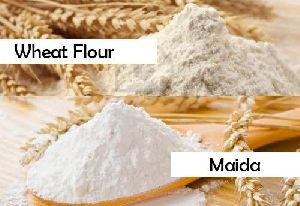 Maida Flour