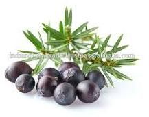 Juniper Berry Oil