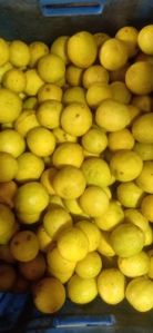 Fresh Yellow Lemon