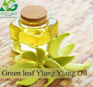 Ylang Ylang Oil