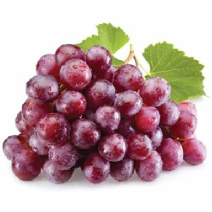 Fresh Red Grapes