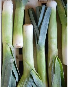 Fresh Leek