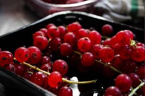 Fresh Red Currants