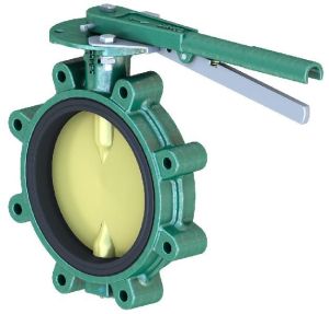 Butterfly Valve