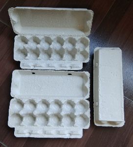 Pulp egg box 12