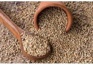 Millets Seed